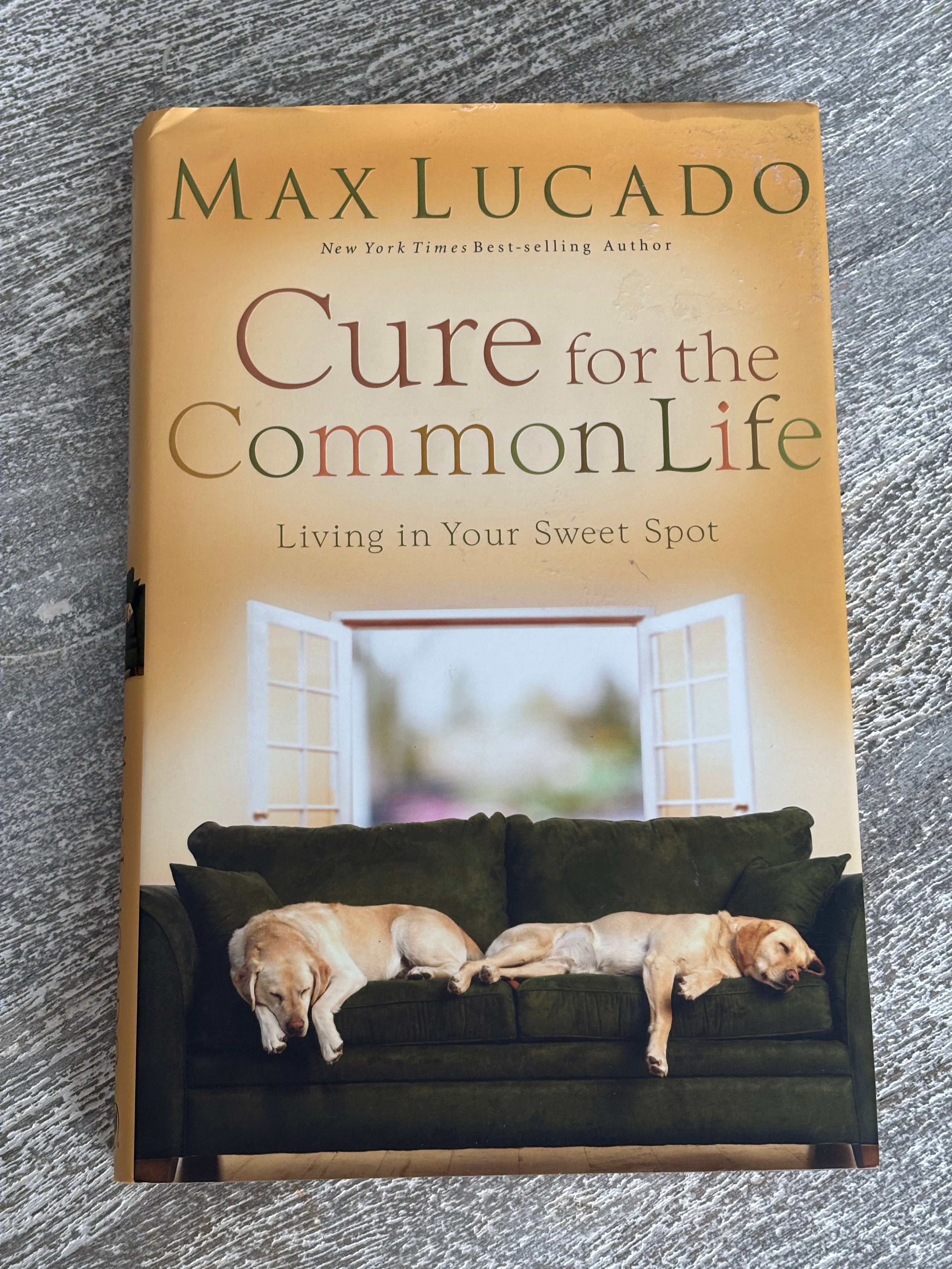 Cure for the Common Life