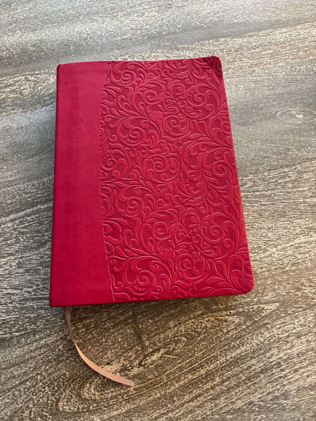The Everyday Bible