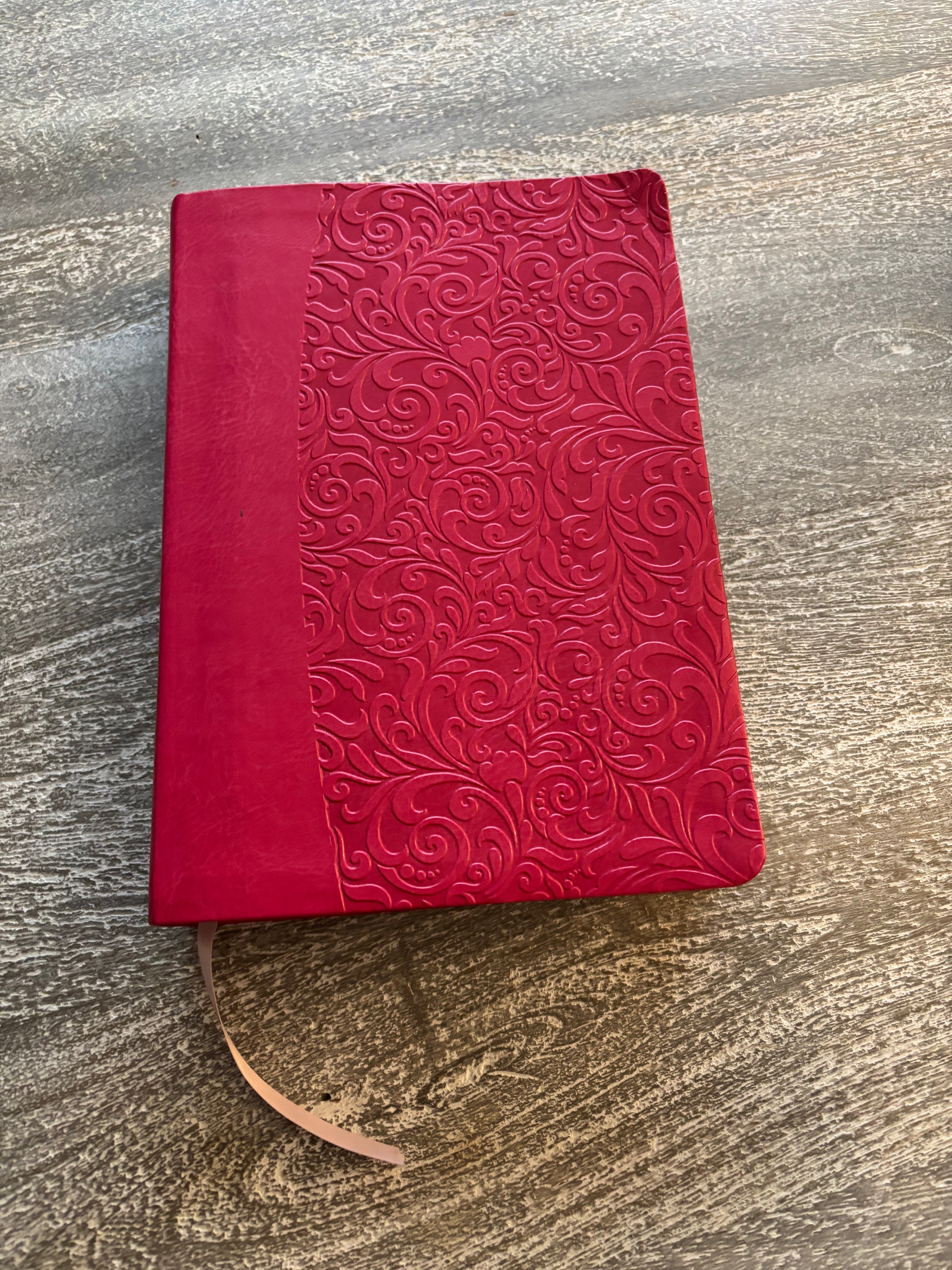 The Everyday Bible