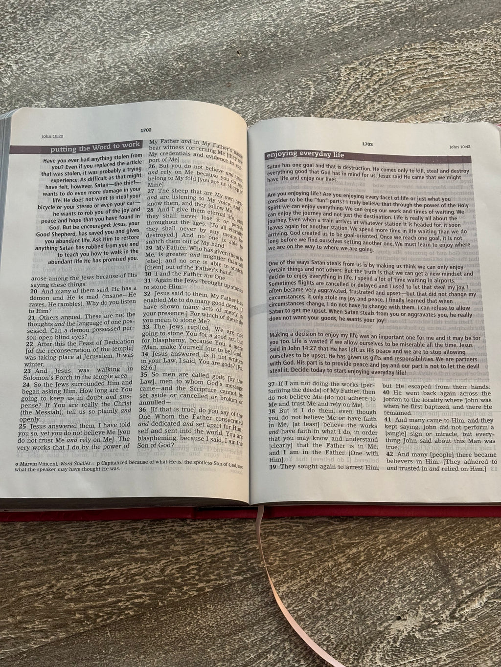 The Everyday Bible