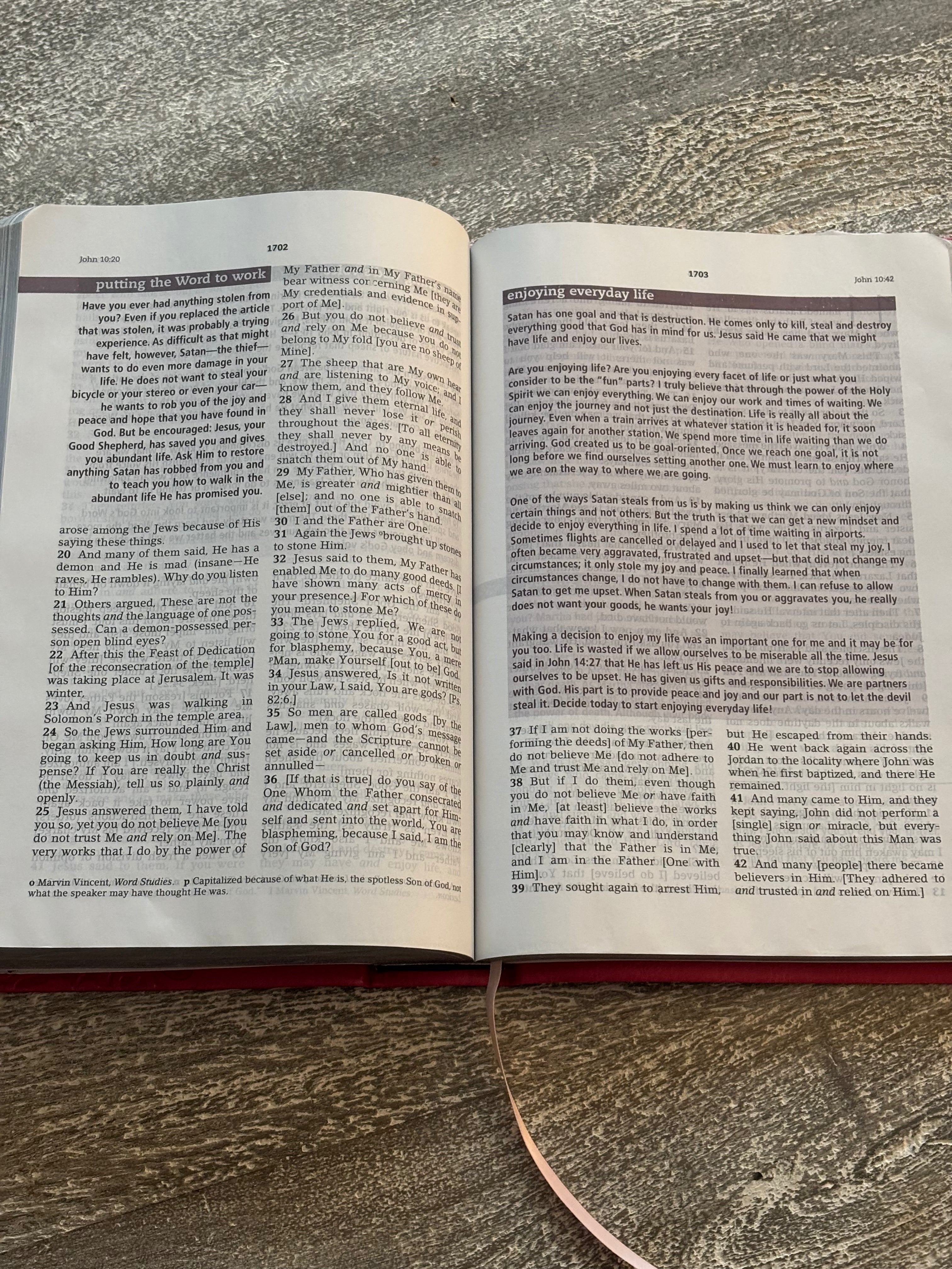 The Everyday Bible