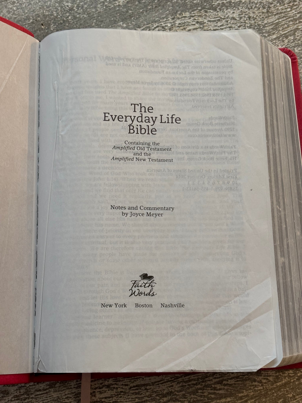 The Everyday Bible